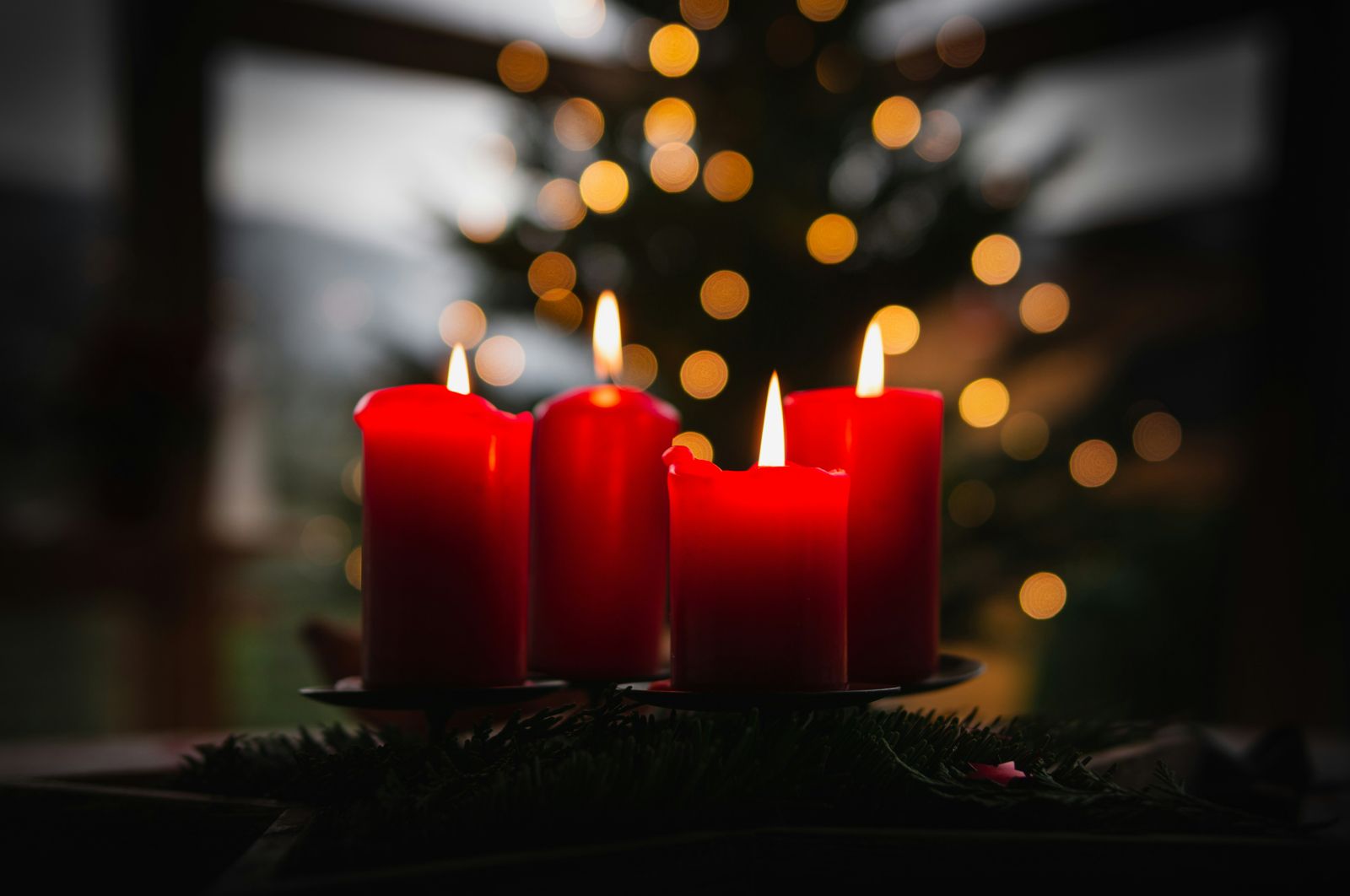 Itinerario biblico di dicembre 2025