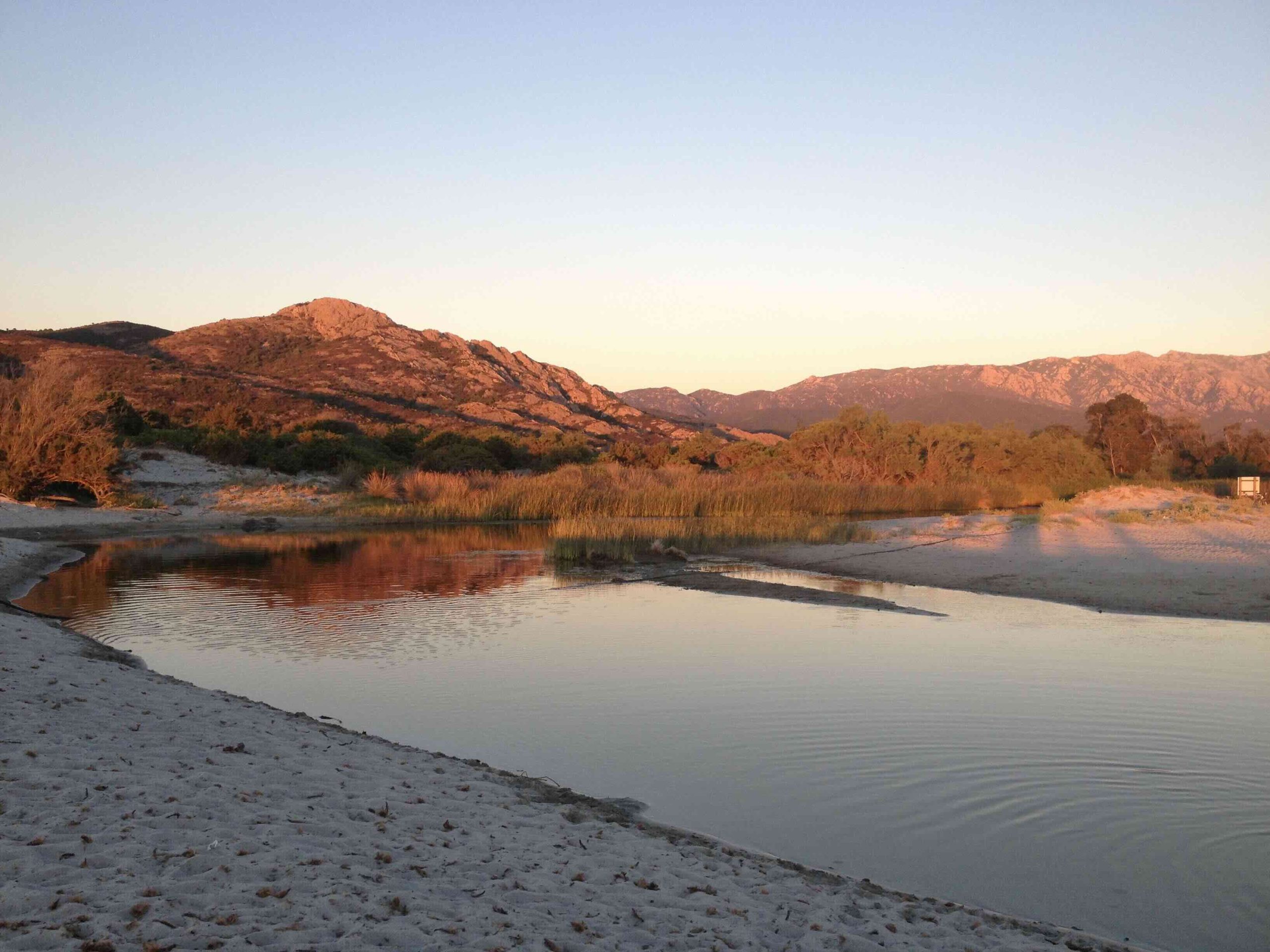 Oggi Gesù ci viene incontro